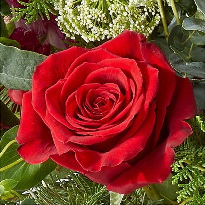 Cranberry Fizz Bouquet –  Flowers By Mgm, North York ON