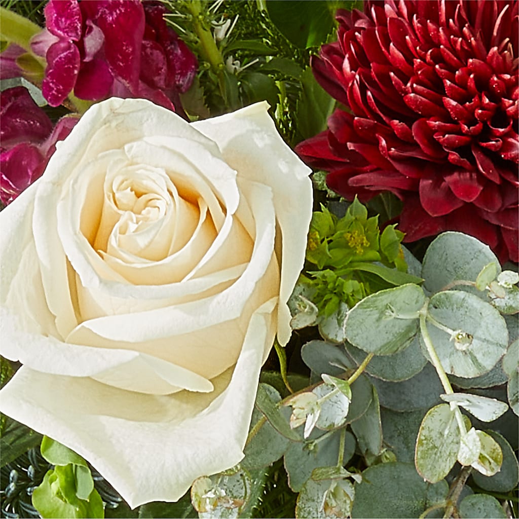 Cranberry Fizz Bouquet –  Flowers By Mgm, North York ON