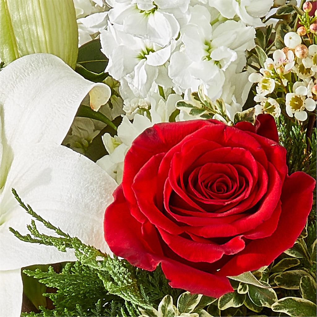 Twinkle Lights Bouquet –  Flowers By Mgm, North York ON