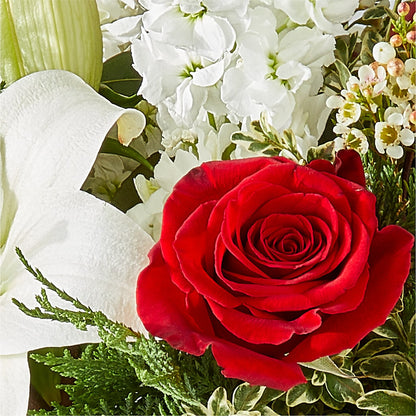 Twinkle Lights Bouquet –  Flowers By Mgm, North York ON