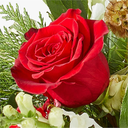 Deck the Halls Bouquet –  Flowers By Mgm, North York ON