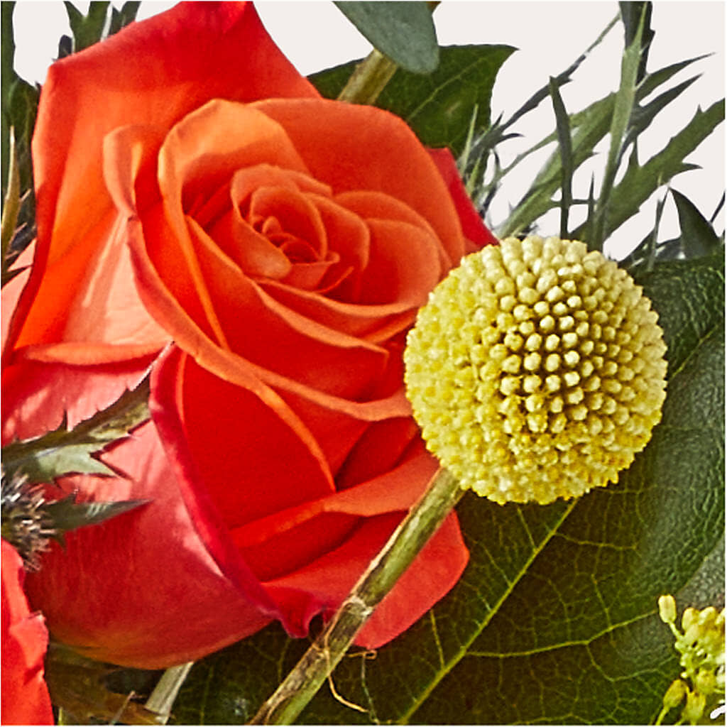 Disco Bouquet –  Flowers By Mgm, North York ON