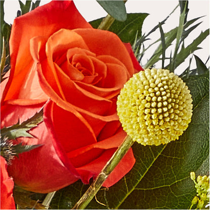 Disco Bouquet –  Flowers By Mgm, North York ON
