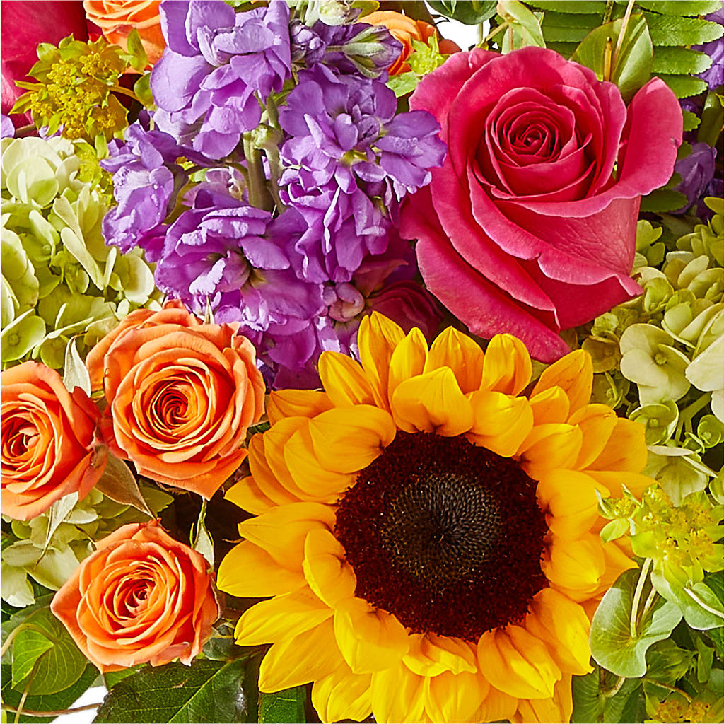 Vibrant Greetings Bouquet –  Flowers By Mgm, North York ON