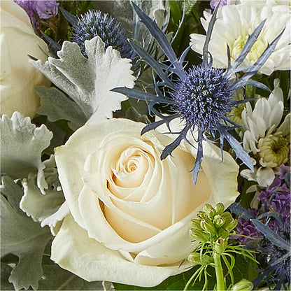 Shooting Star Bouquet –  Flowers By Mgm, North York ON