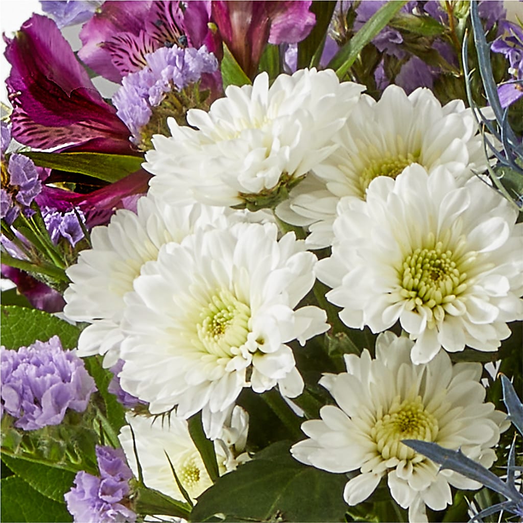 Shooting Star Bouquet –  Flowers By Mgm, North York ON