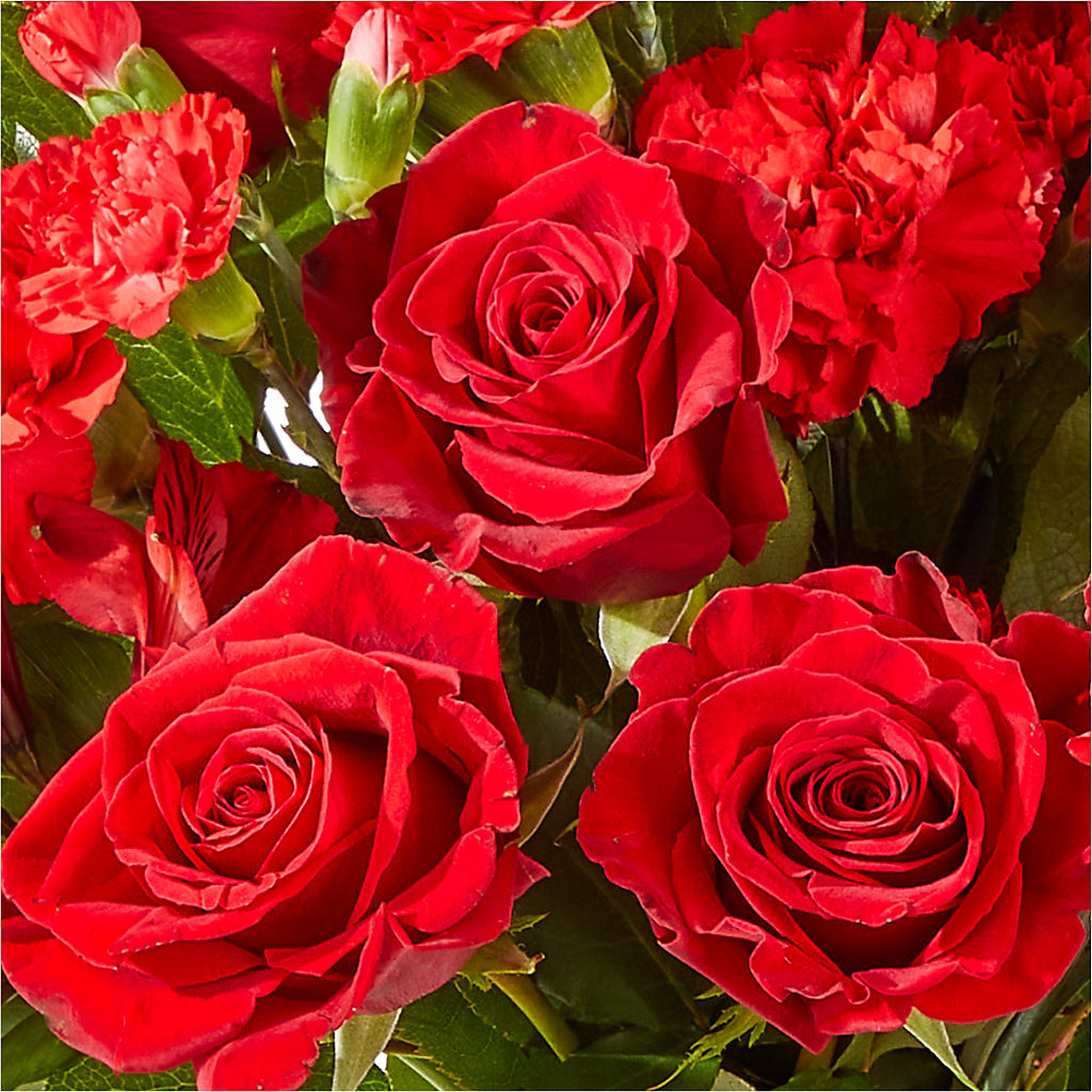 The Heartstrings Bouquet –  Flowers By Mgm, North York ON