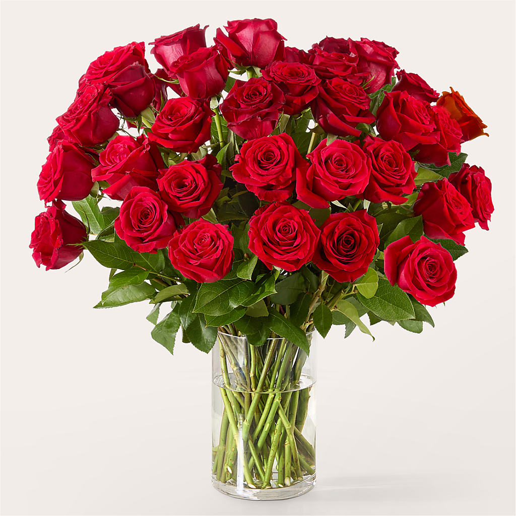 The One Red Rose Bouquet –  Flowers By Mgm, North York ON