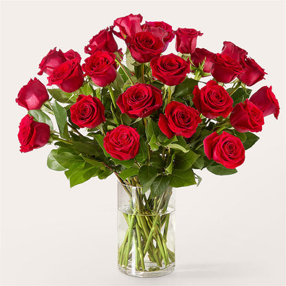 The One Red Rose Bouquet –  Flowers By Mgm, North York ON
