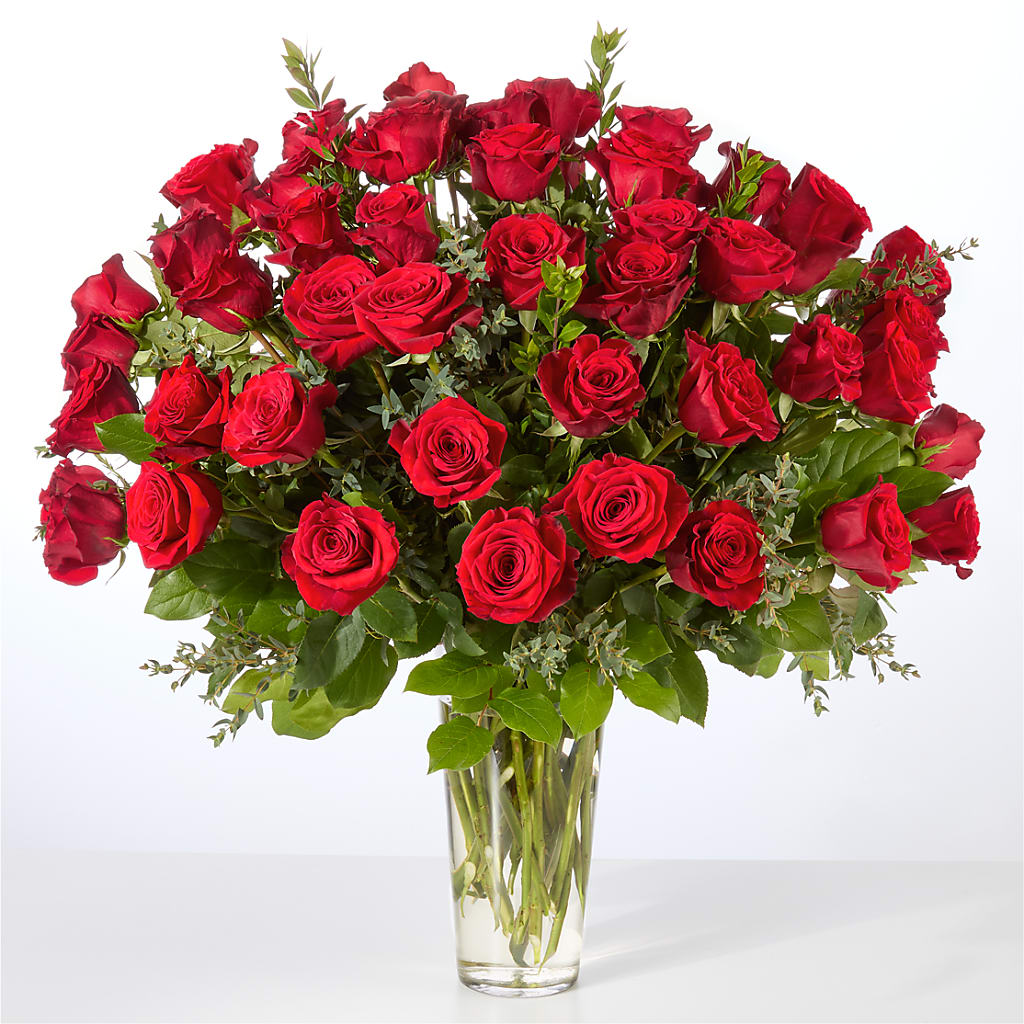 Forever Yours Fifty Stem Red Rose Bouquet –  Flowers By Mgm, North York ON