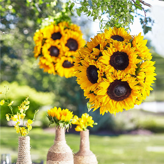 Arrangement suspendu de jardin sublime