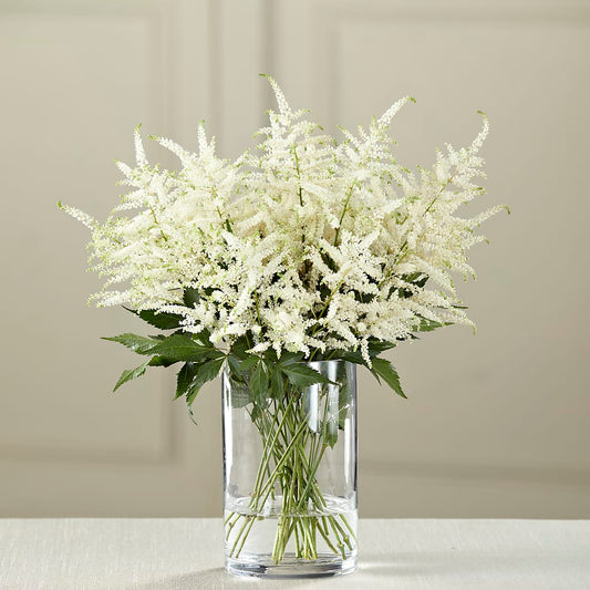 Bouquet d'Astilbe Blanche