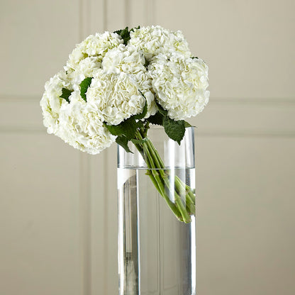 White Hydrangea Hand-Tied Bouquet –  Flowers By Mgm, North York ON