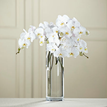 White Phalaenopsis Bouquet –  Flowers By Mgm, North York ON