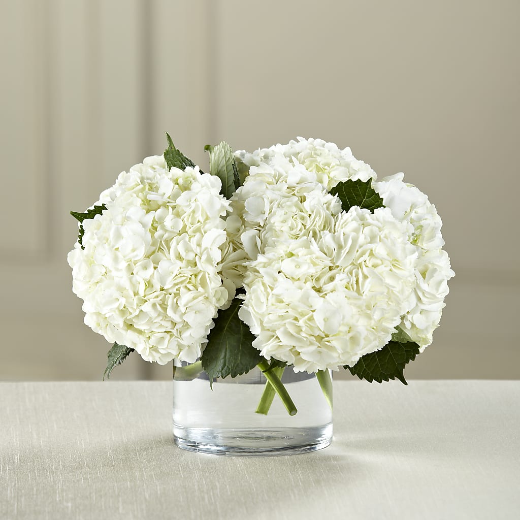 Bouquet d'hortensias blancs