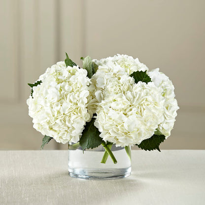 White Hydrangea Bouquet –  Flowers By Mgm, North York ON